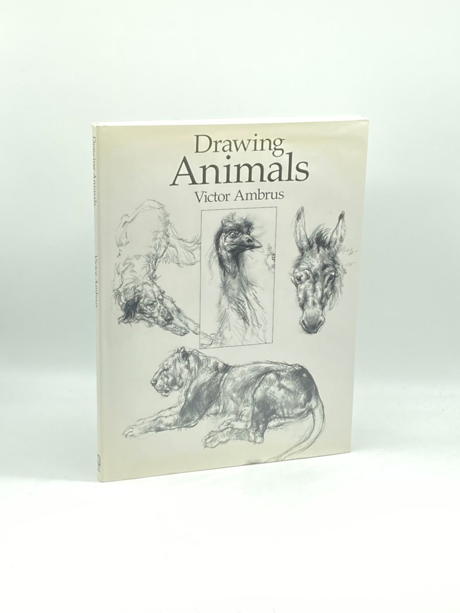 Image for Drawing Animals Drawing Animals