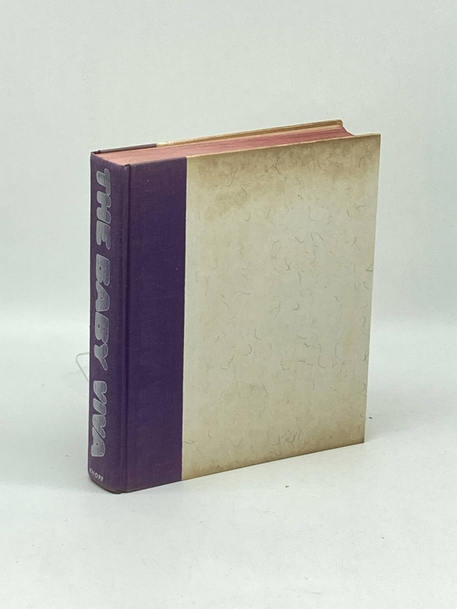 The Baby; A Video Novel