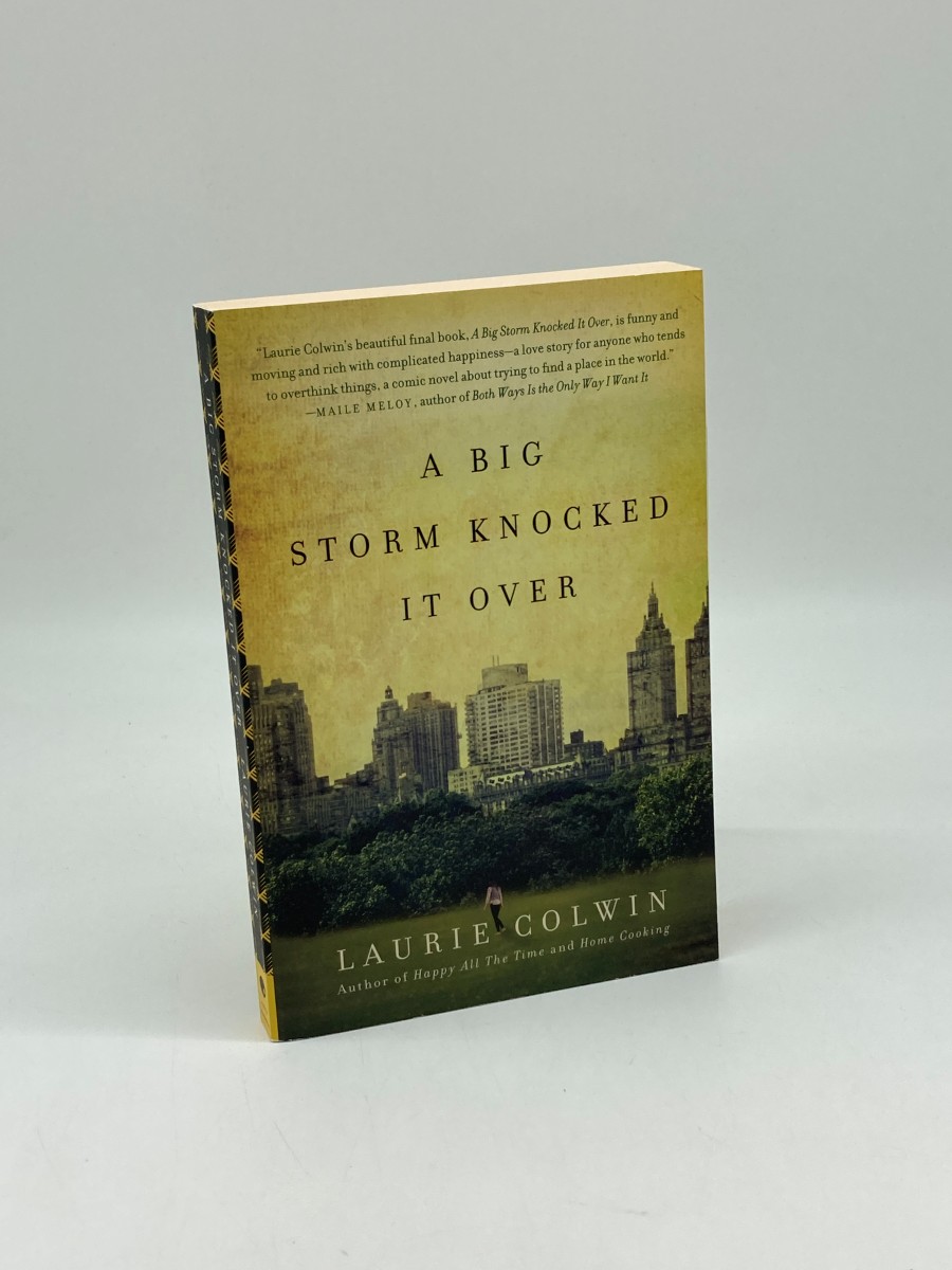 A Big Storm Knocked it Over A Novel