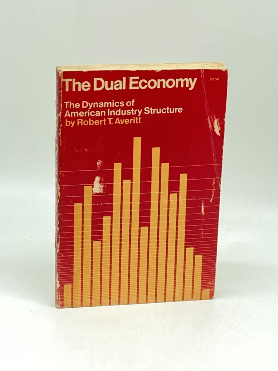 Image for The Dual Economy; The Dynamics of American Industry Structure The Dual Economy; The Dynamics of American Industry Structure