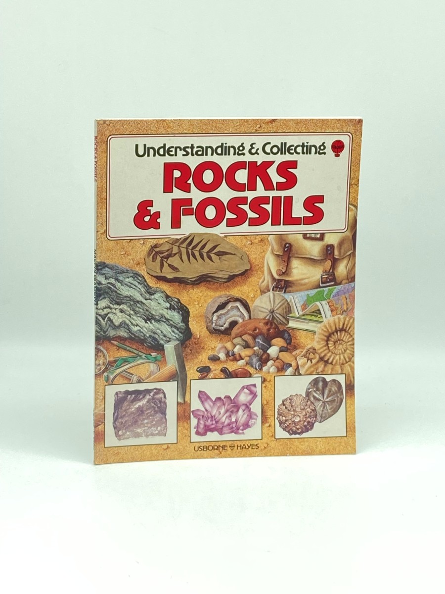 Understanding and Collecting Rocks and Fossils