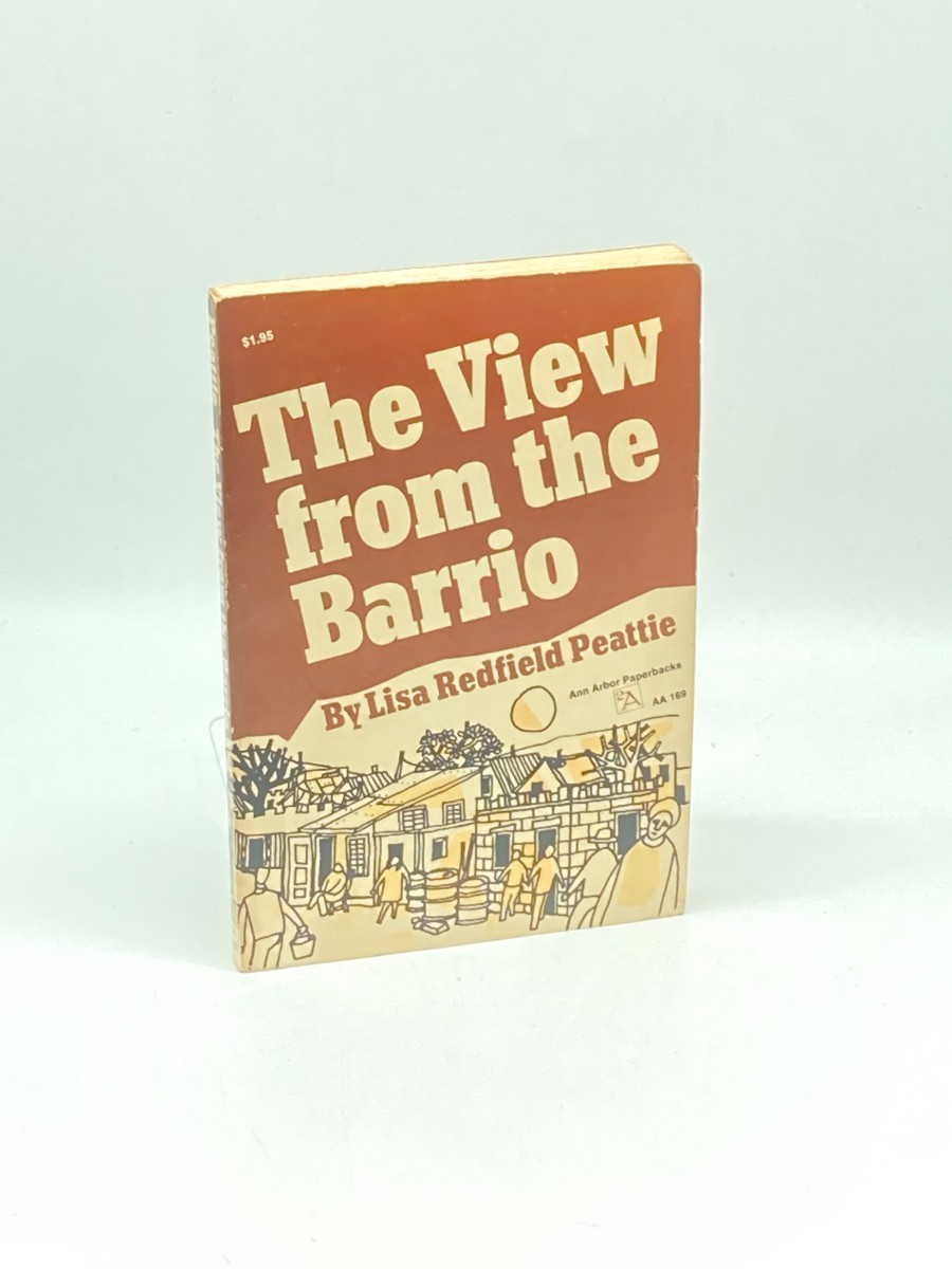 The View from the Barrio