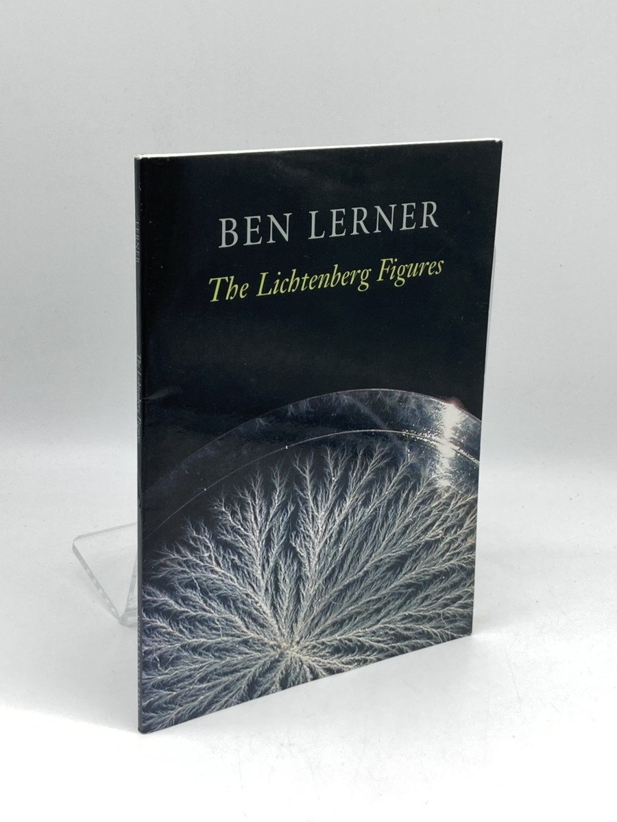 Image for The Lichtenberg Figures The Lichtenberg Figures