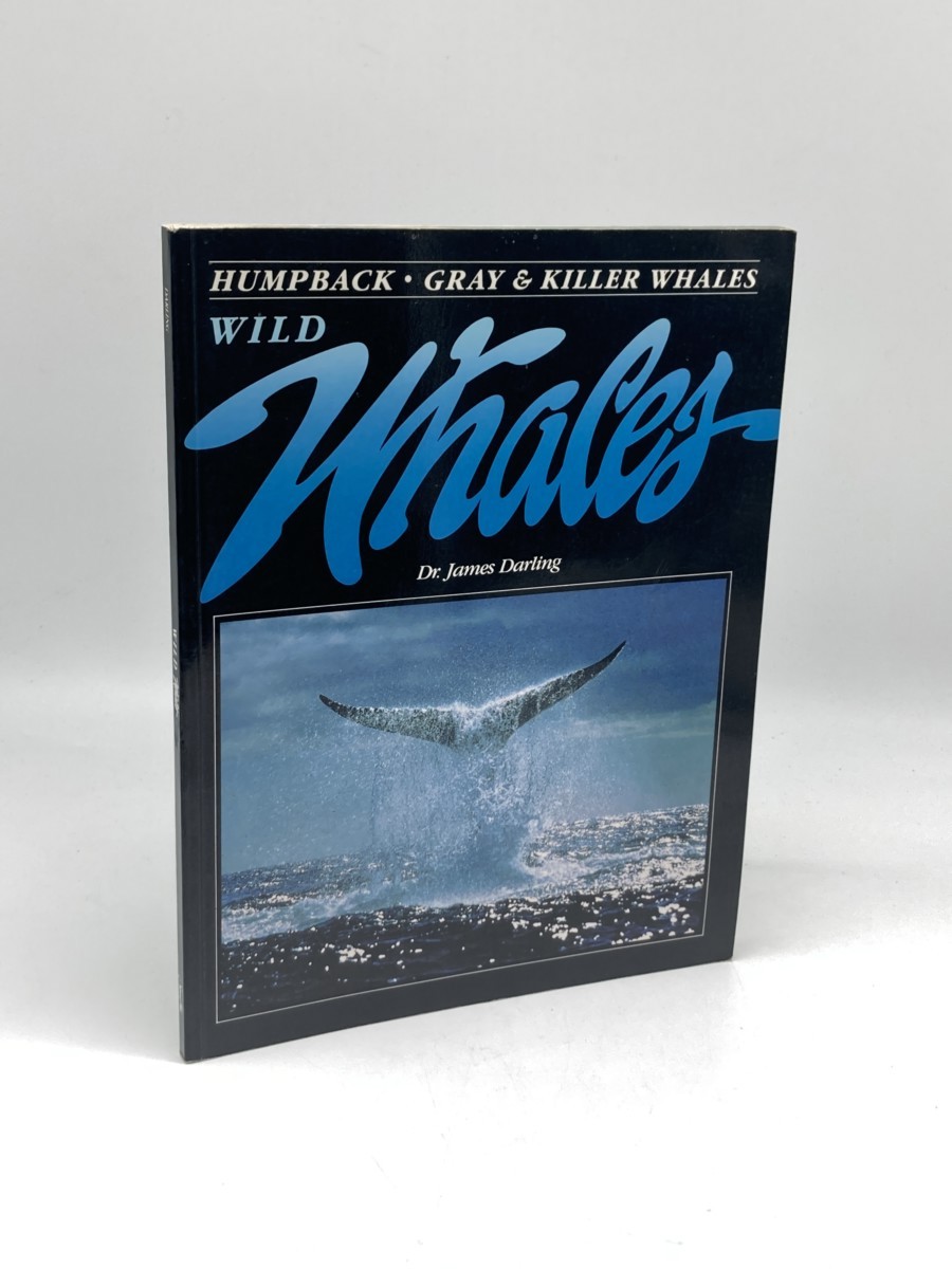 Wild Whales; Humpback, Gray & Killer Whales