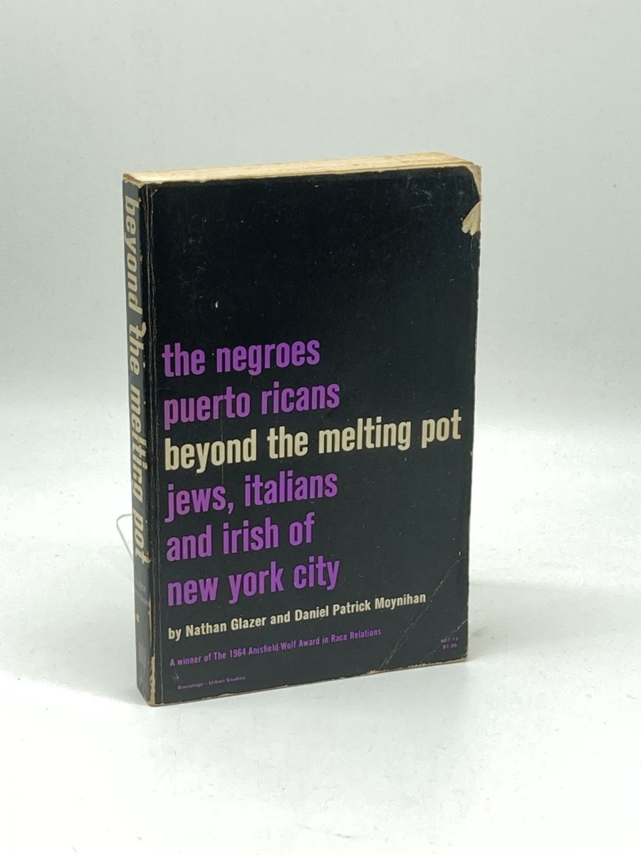 Beyond the Melting Pot; The Negroes, Puerto Ricans, Jews, Italians, and Irish of New York City