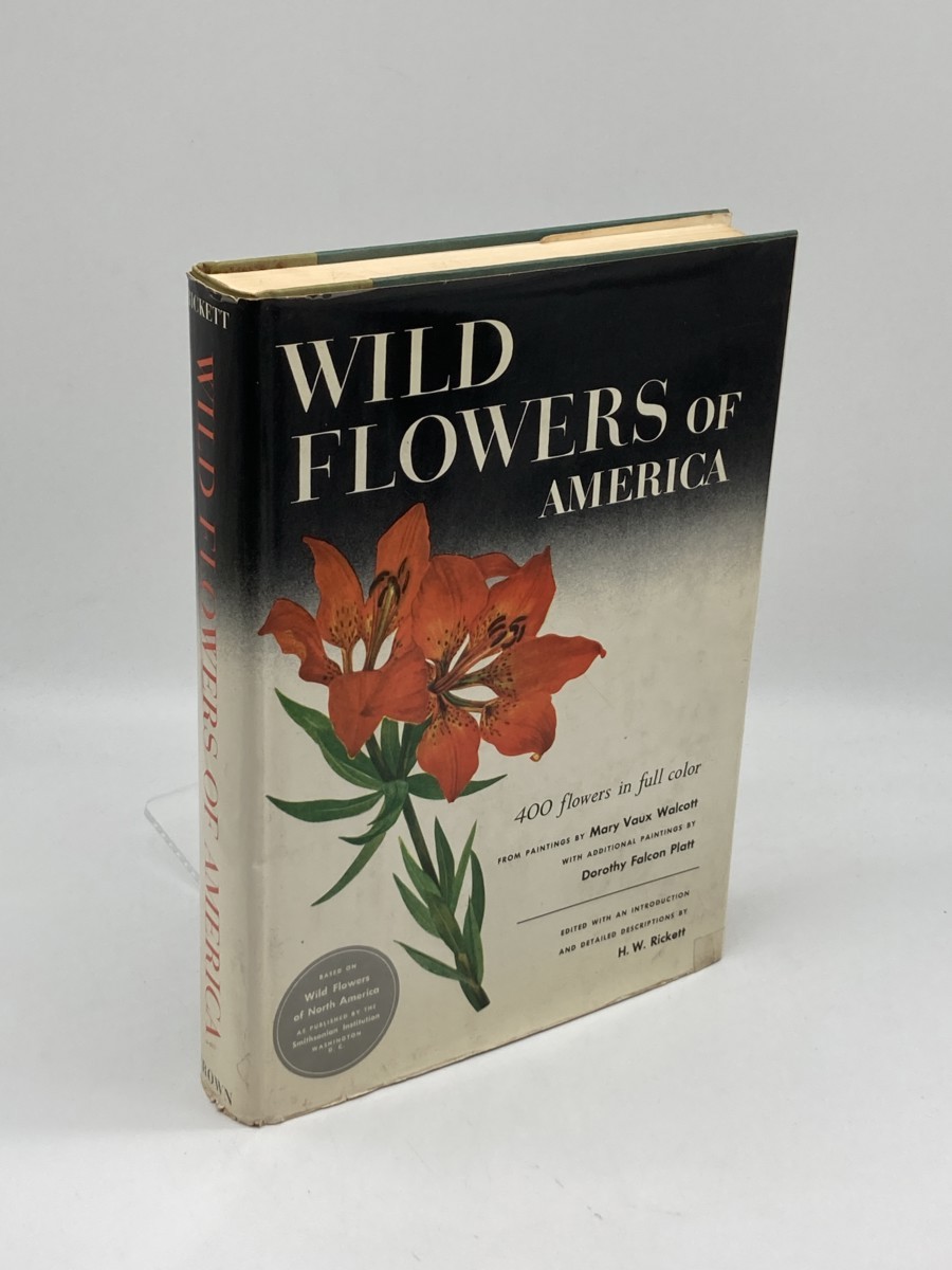 Image for Wild Flowers of America Wild Flowers of America