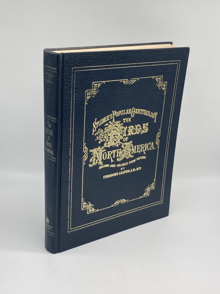 Image for Studer's Popular Ornithology - The Birds Of North America Studer's Popular Ornithology - The Birds Of North America