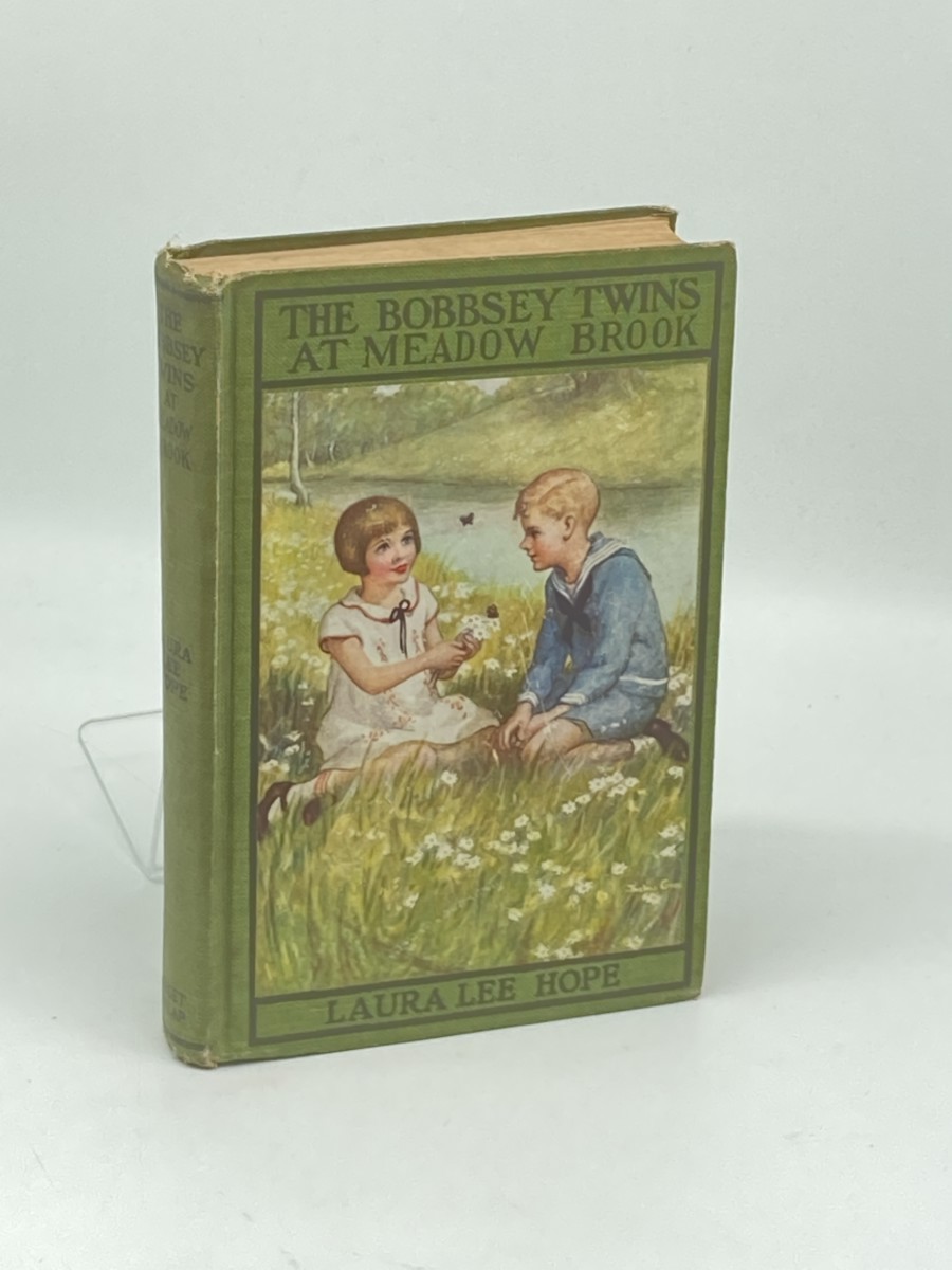 Image for The Bobbsey Twins At Meadow Brook (1915) The Bobbsey Twins At Meadow Brook (1915)