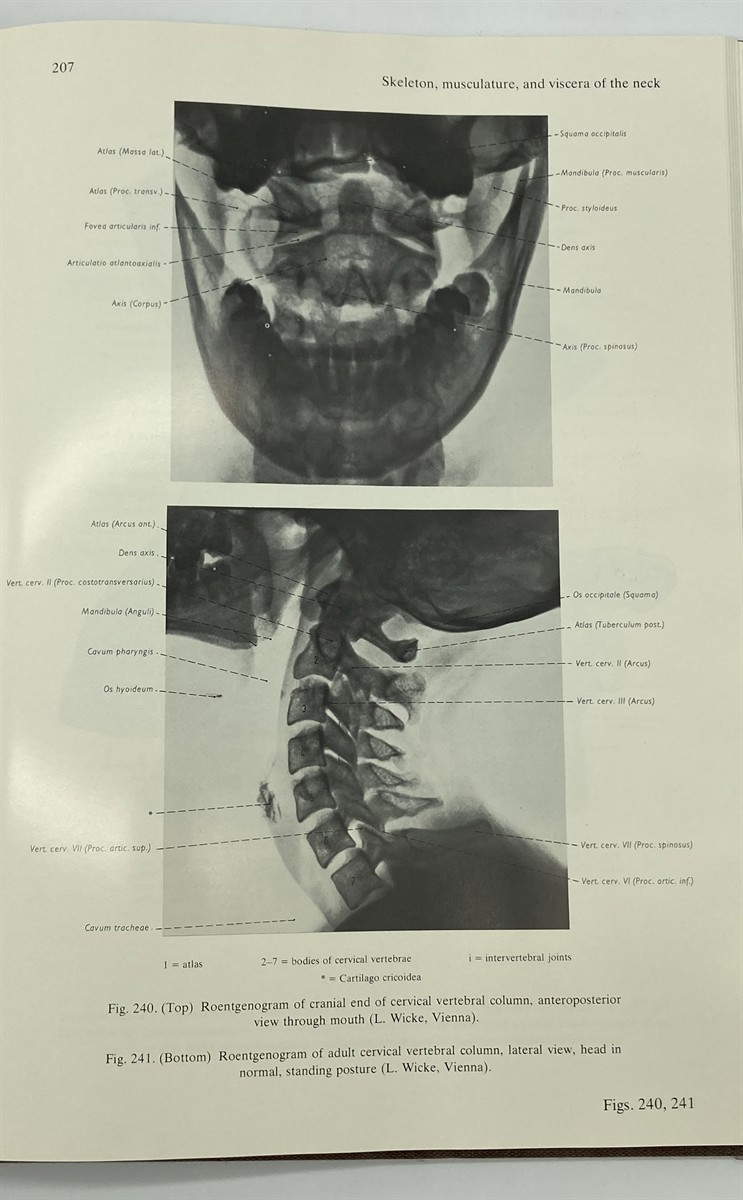 Atlas of Topographical and Applied Human Anatomy, Vol. 1