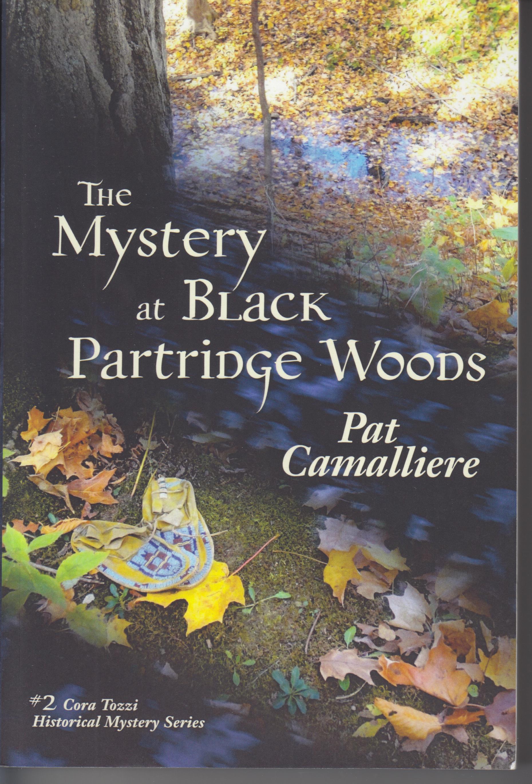 Image for The Mystery of Black Partridge Woods