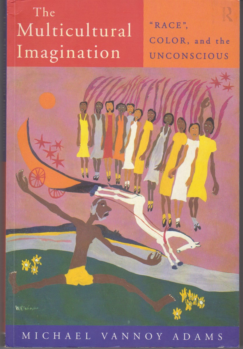 Image for The Multicultural Imagination