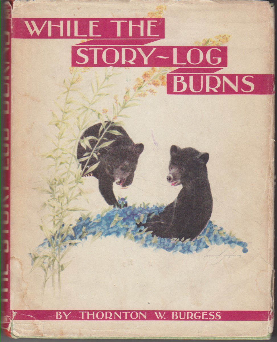 Image for While the Story-Log Burns