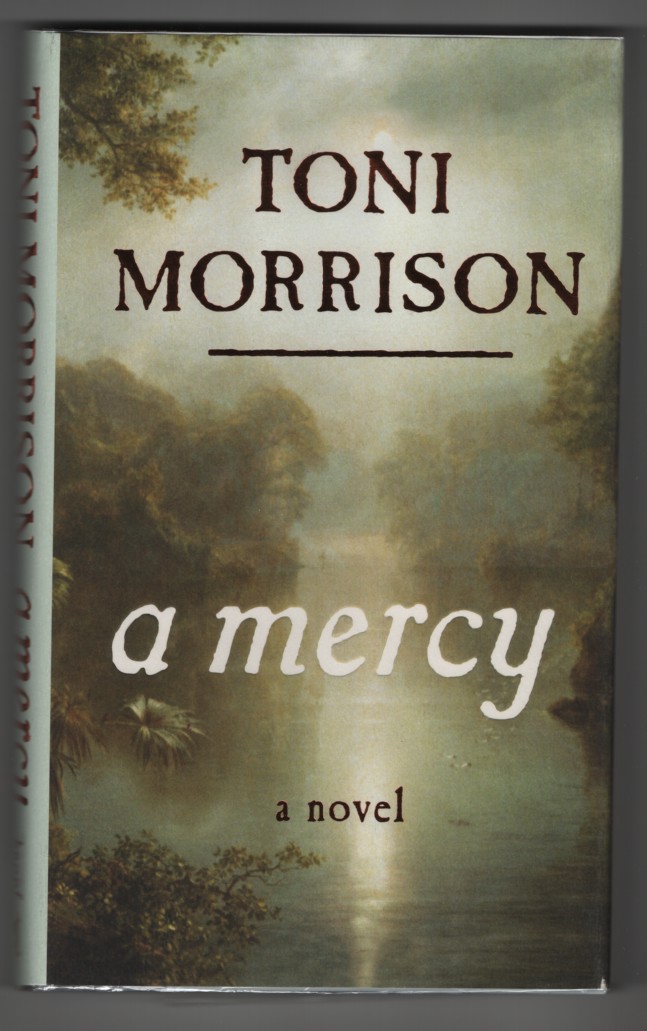 Image for A Mercy A Mercy