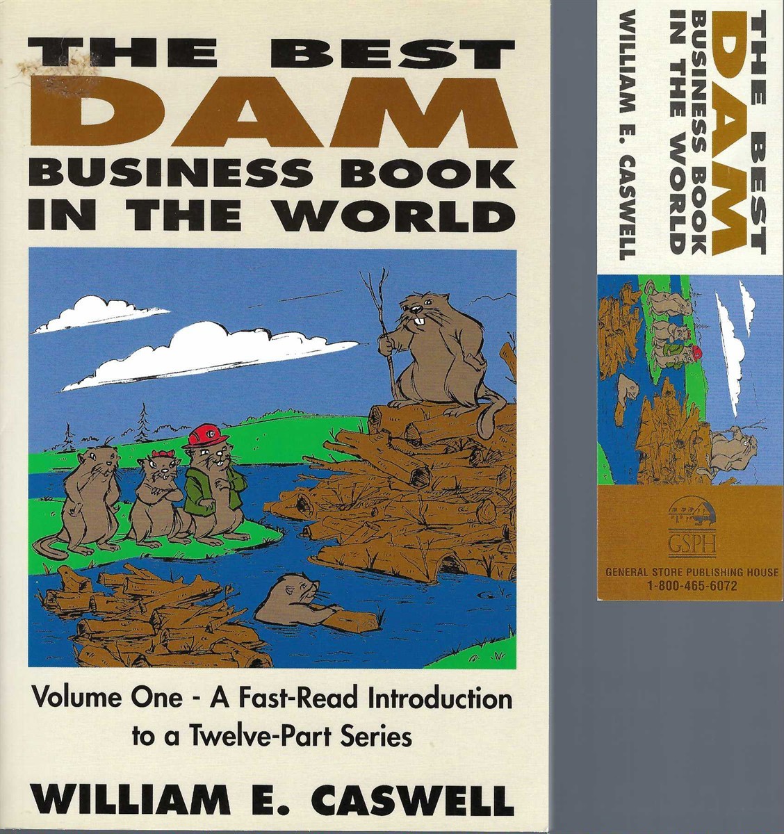 CASWELL WILLIAM E. - Best Dam Business Book in the World: Vol 1. A Fast Read Introduciton to a Twelve - Part Series.
