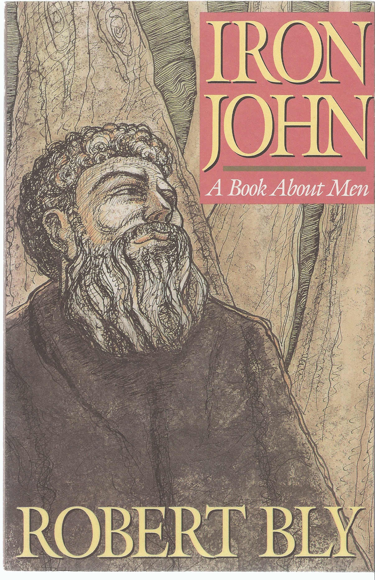 BLY, ROBERT - Iron John a Book About Men