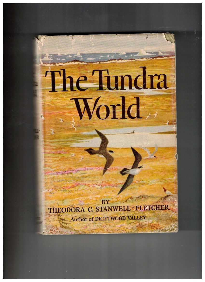 The Tundra World