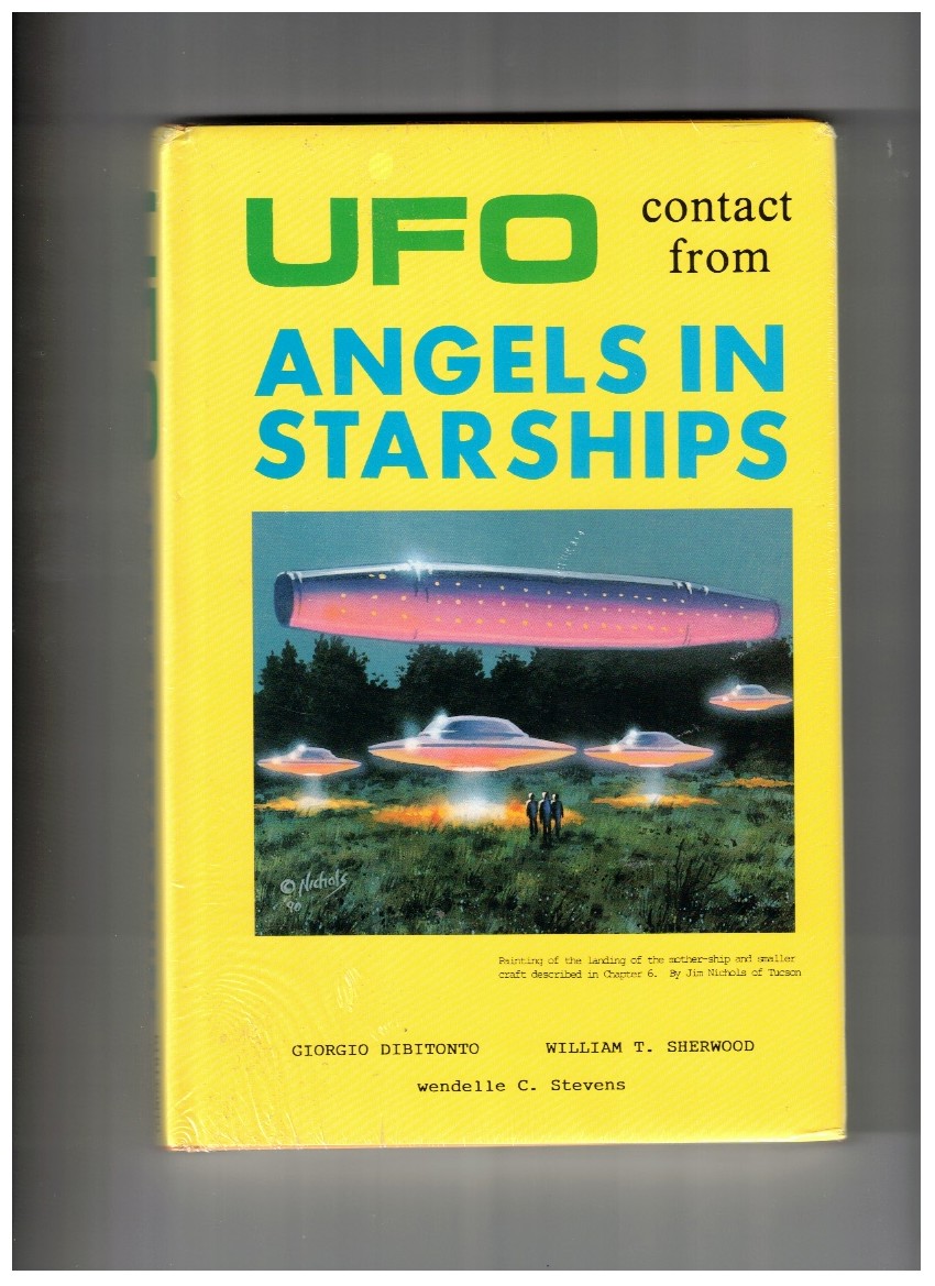 UFO Contact from Angels in Starships