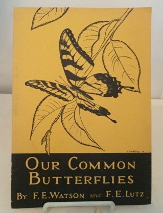 Image for Our Common Butterflies Science Guide No. 38