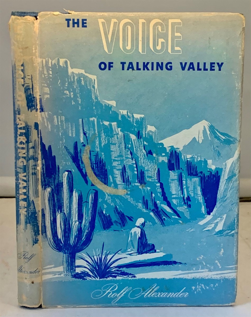 Image for THE VOICE of Talking Valley