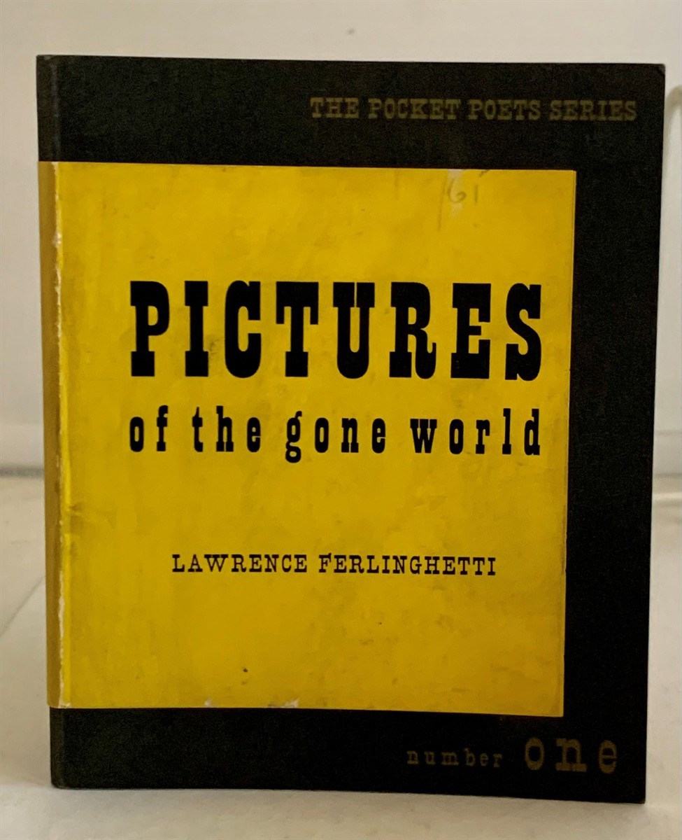 Image for Pictures of the Gone World