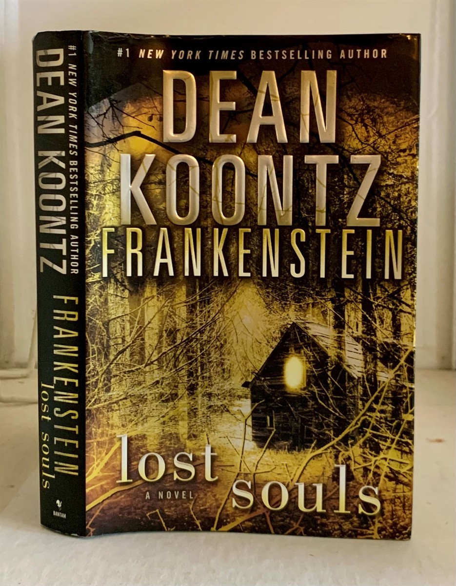 Image for Frankenstein Lost Souls