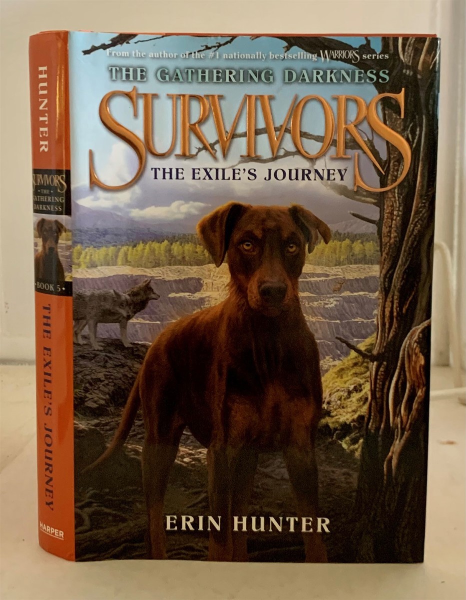 HUNTER, ERIN & LASZLO KUBINYI - Survivors the Gathering Darkness #5: The Exile's Journey