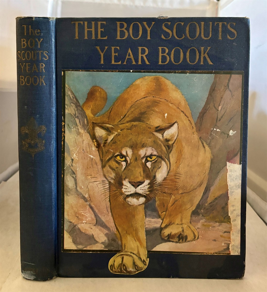 MATHIEWS, FRANKLIN K. (EDITED BY) - The Boy Scouts Yearbook 1924