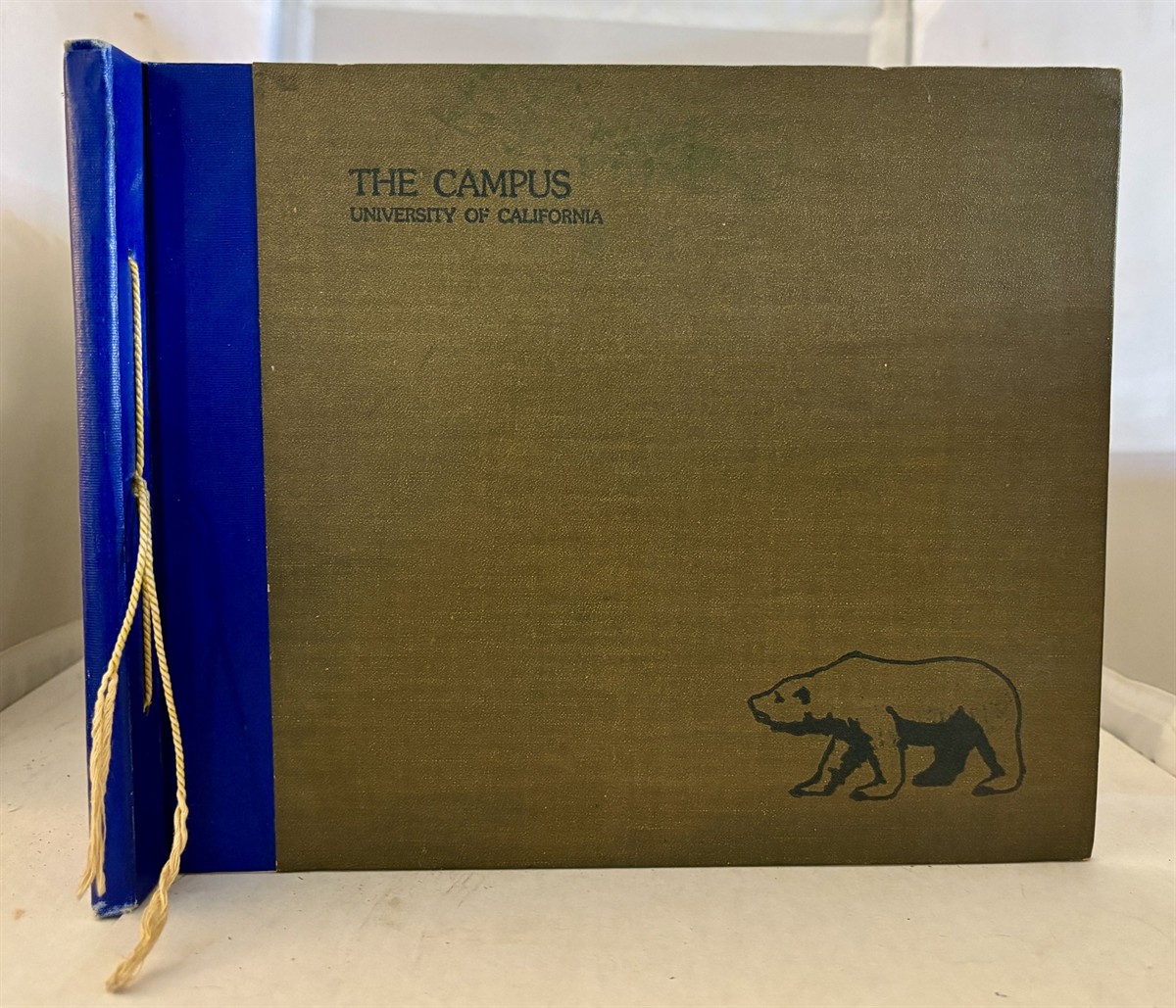 The Campus A Collection of Views and Art. Photographs by Carl Abell '17