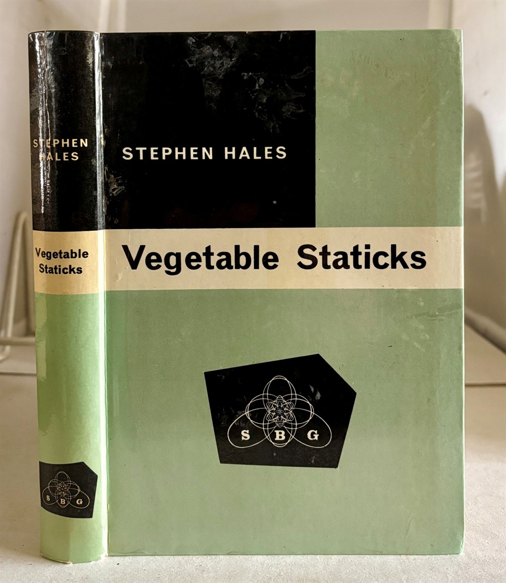 Vegetable Staticks
