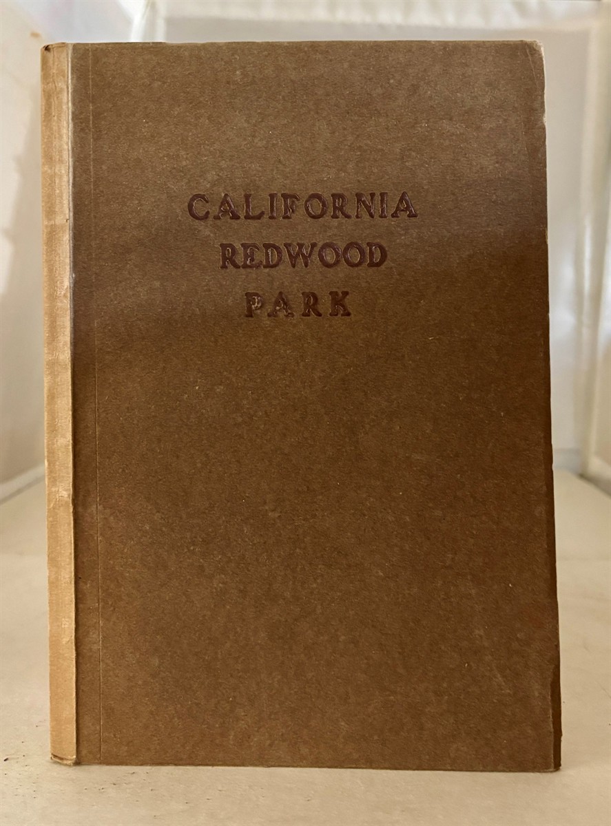 California Redwood Park Sometimes Called Sempervirens Park