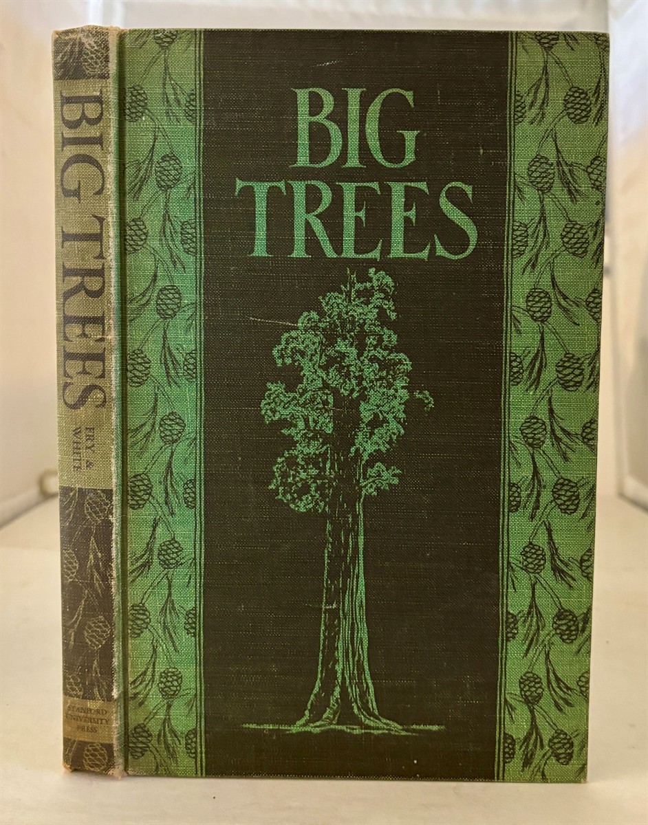 Big Trees