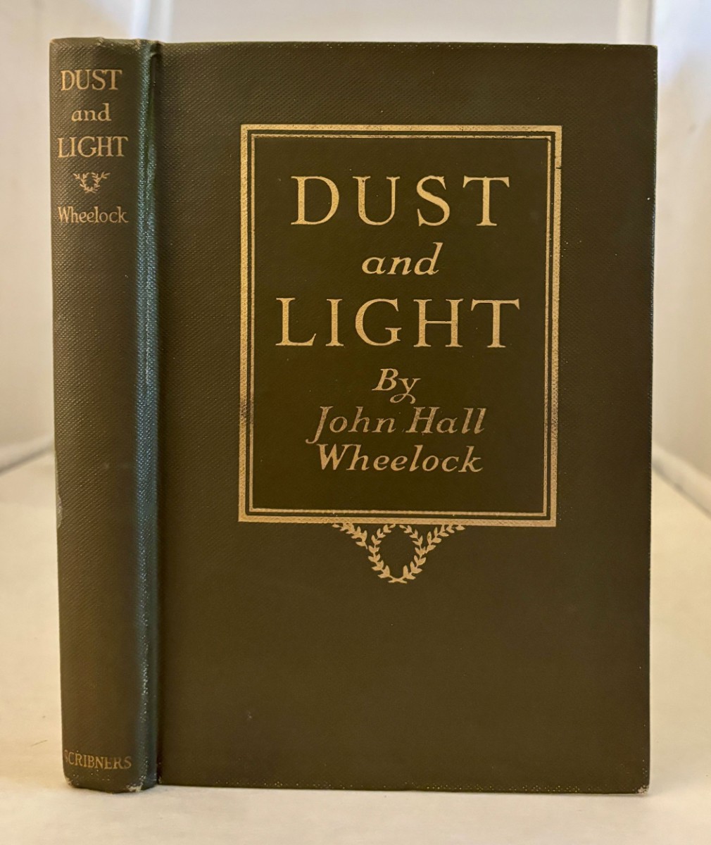 Image for Dust and Light Dust and Light