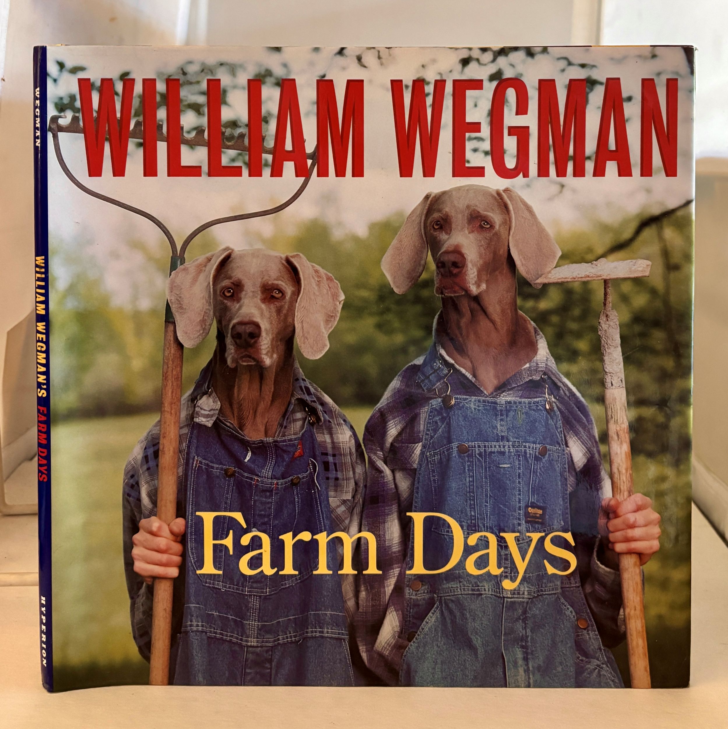 William Wegman's Farm Days; Or How Chip Learnt An Important Lesson on the Farm or A Day in the Country Or Hip Chip's Trip Or Farmer Boy