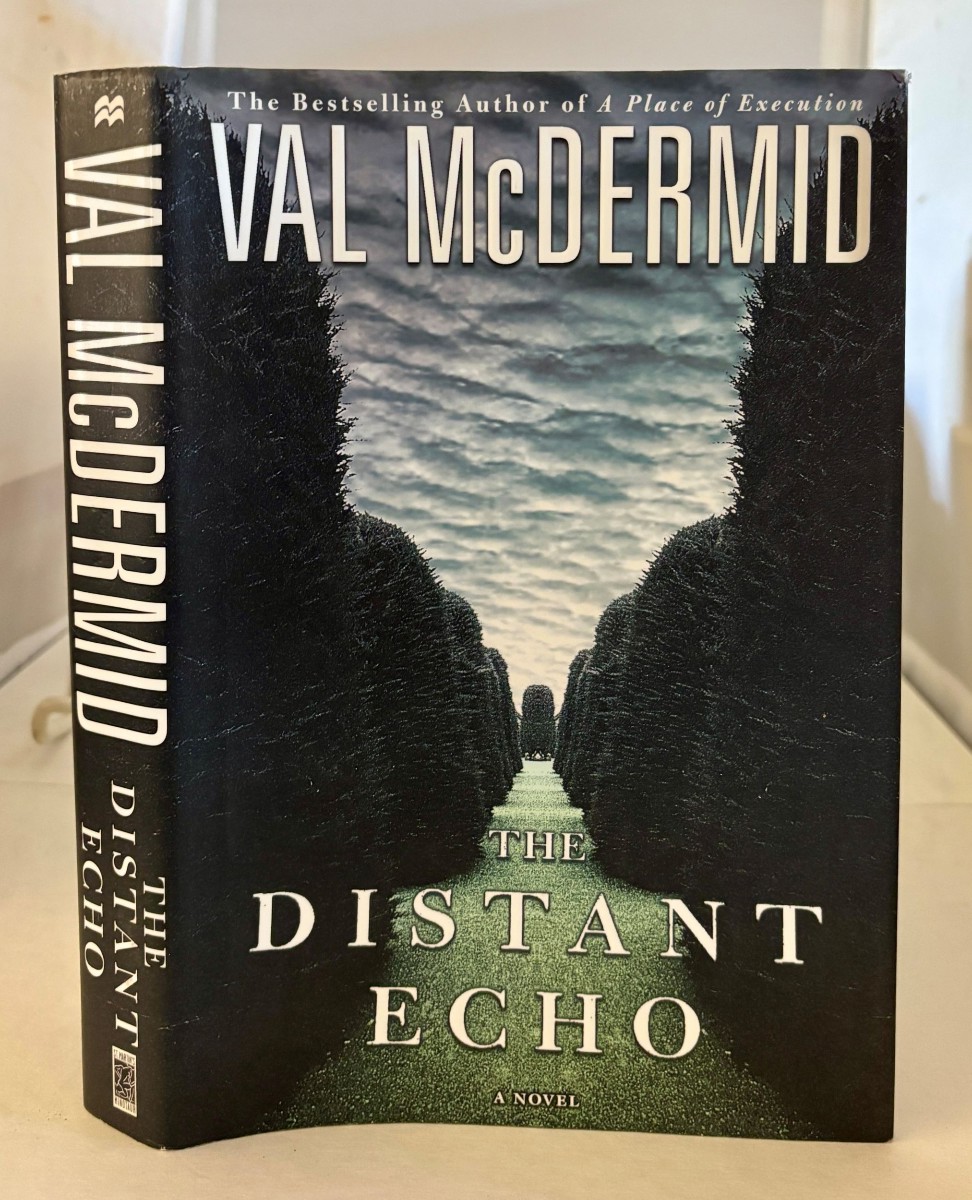 Image for The Distant Echo The Distant Echo