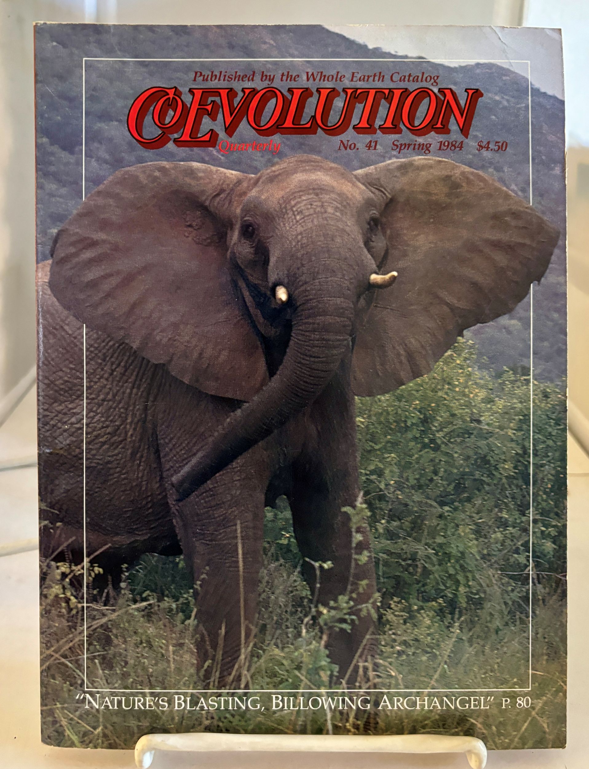 Coevolution Quarterly; (Spring 1984, No. 41)