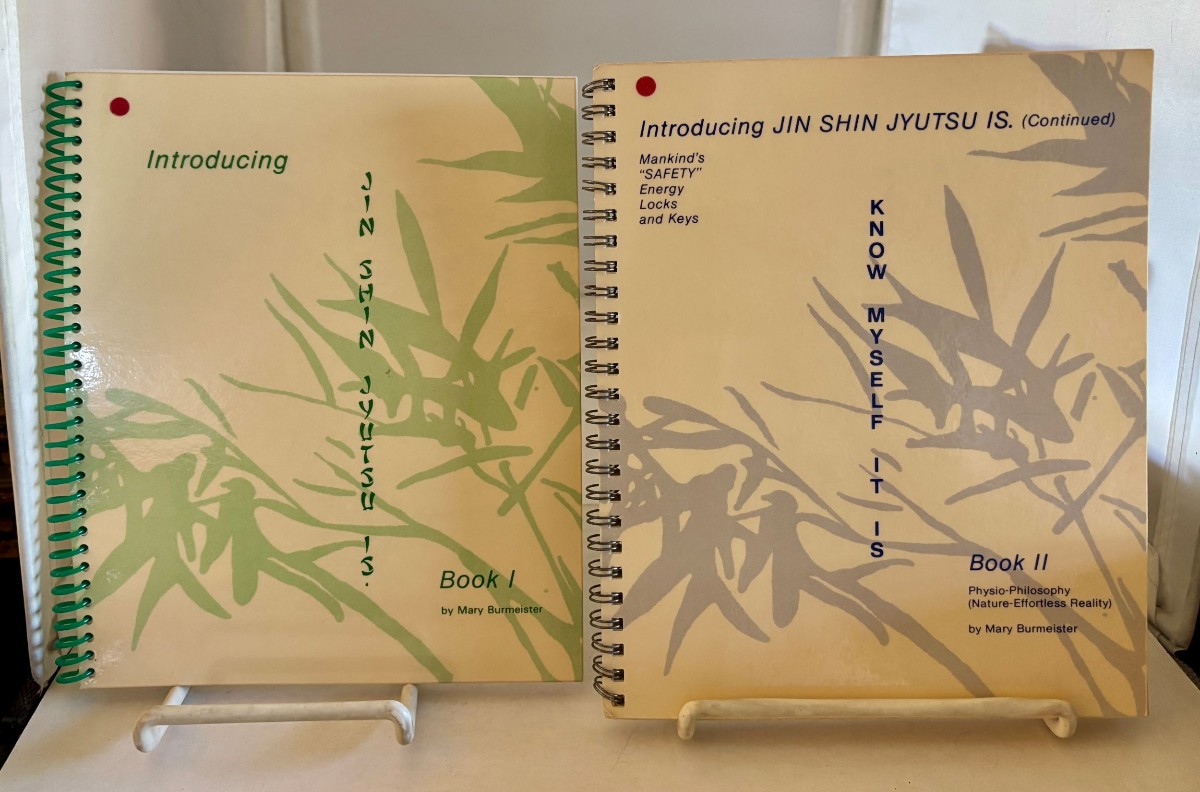 Image for Introducing Jin Shin Jyutsu Is; Book One and Two Introducing Jin Shin Jyutsu Is; Book One and Two