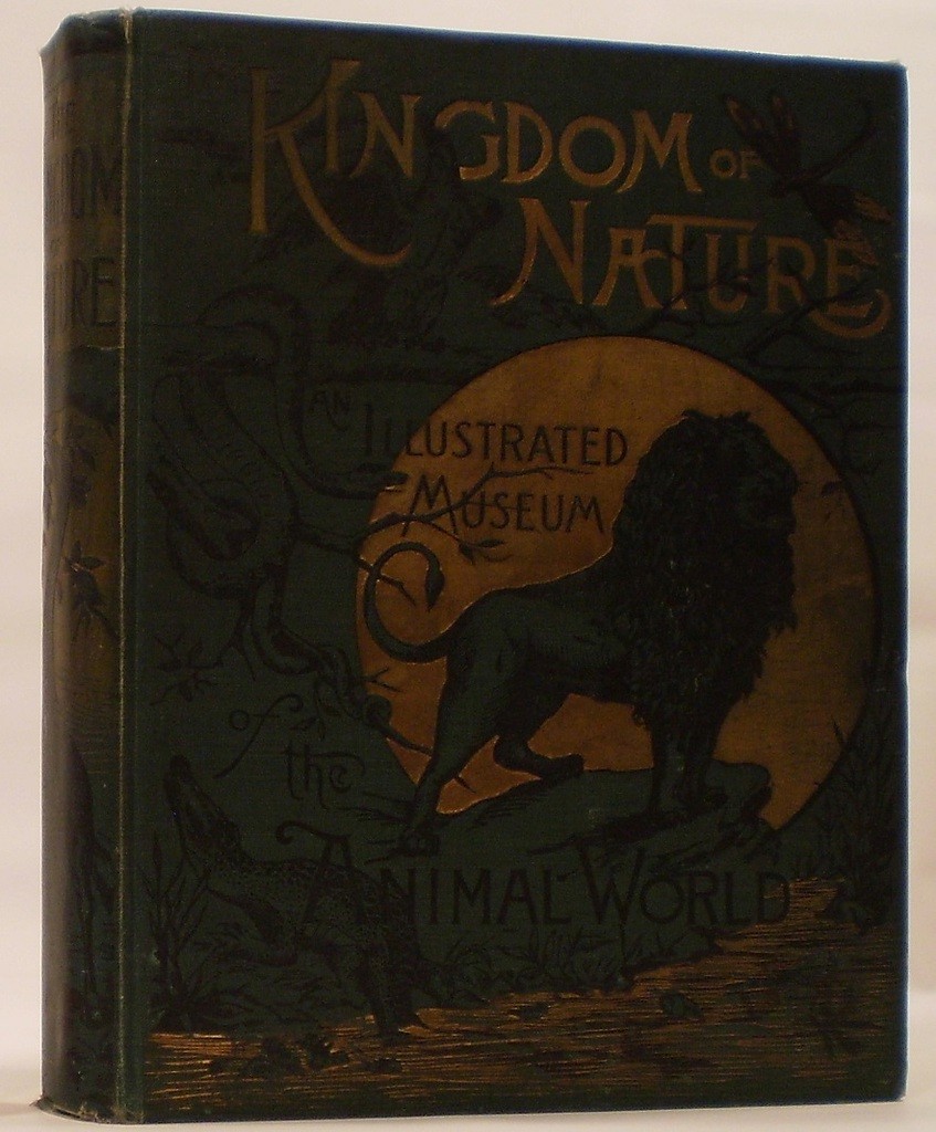 Image for The Kingdom of Nature An Illustrated Museum of the Animal World...