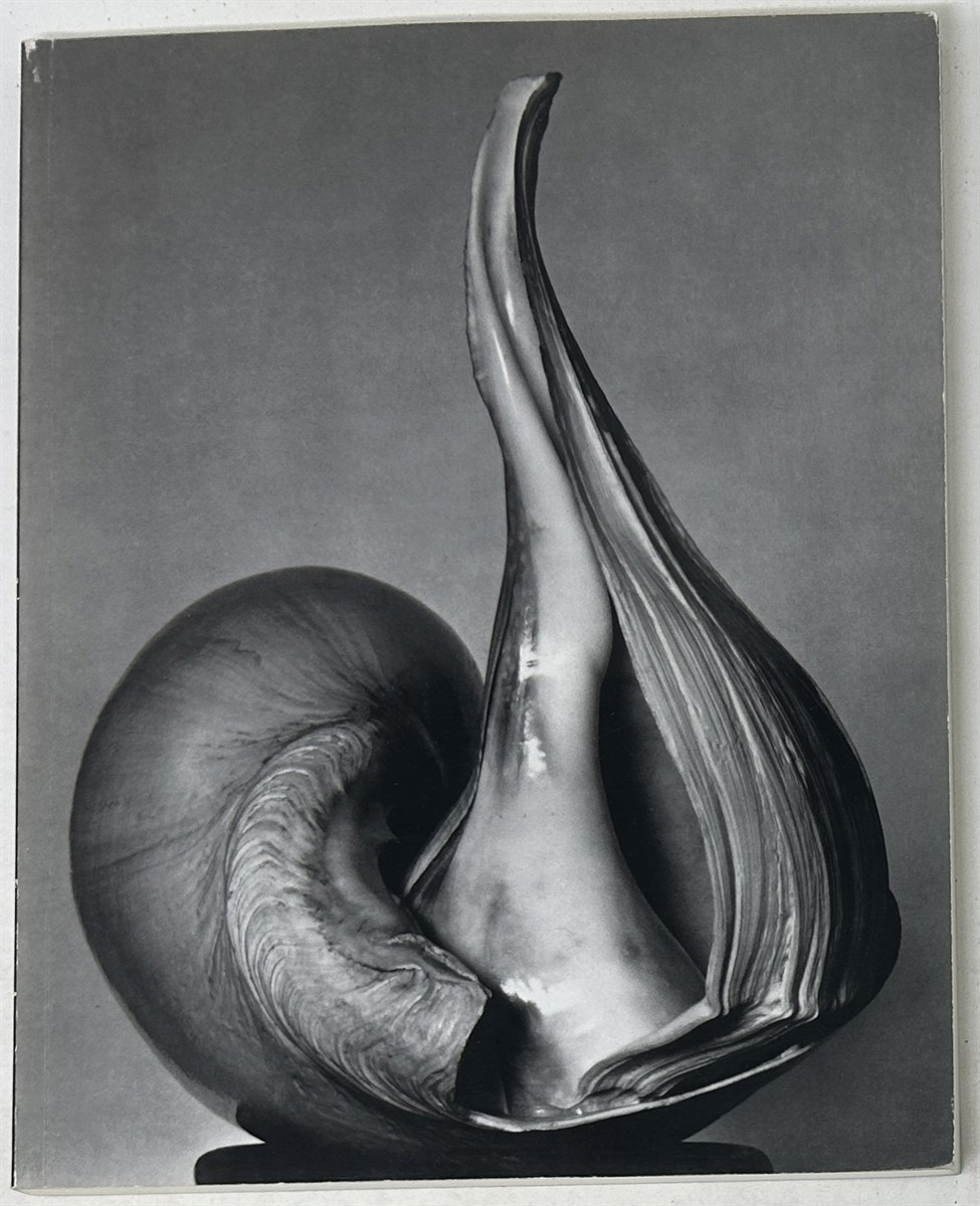 EW: 100: Centennial Essays in Honor of Edward Weston (Untitled 41)