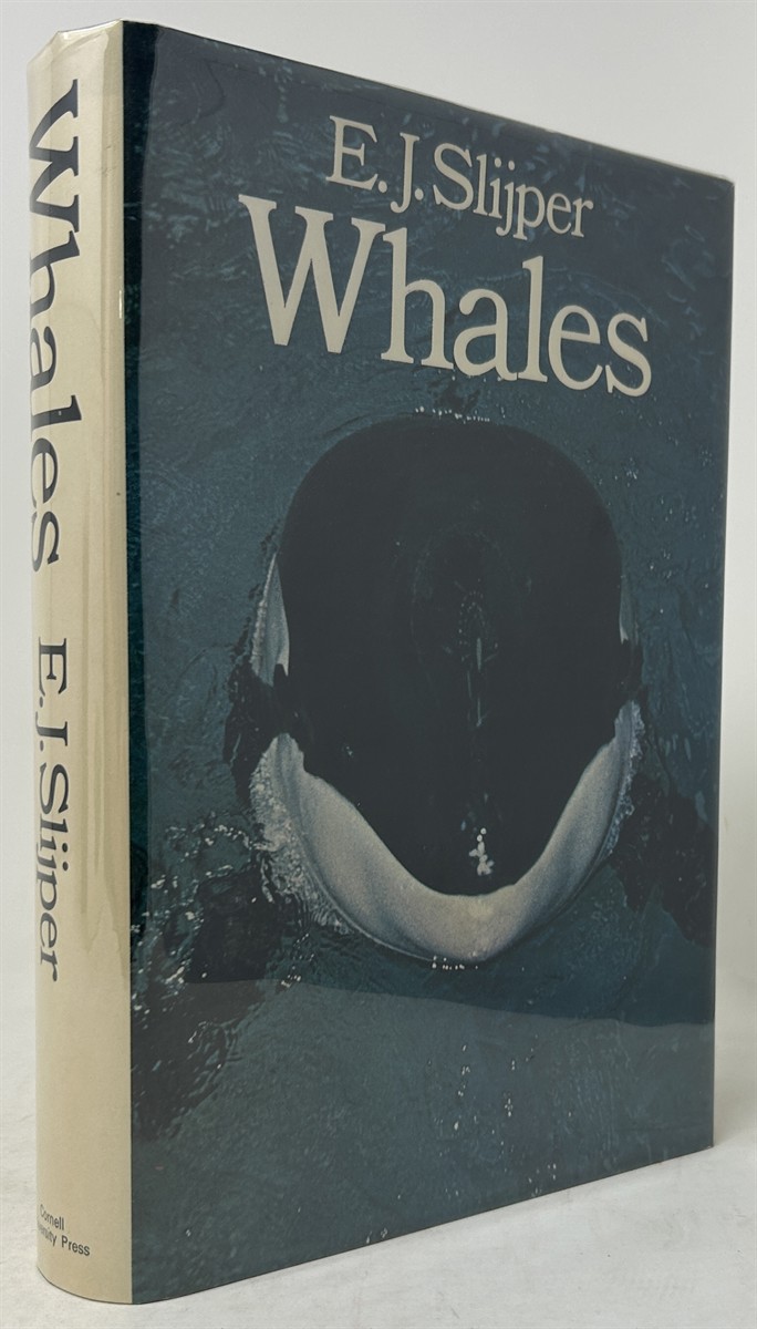 Whales