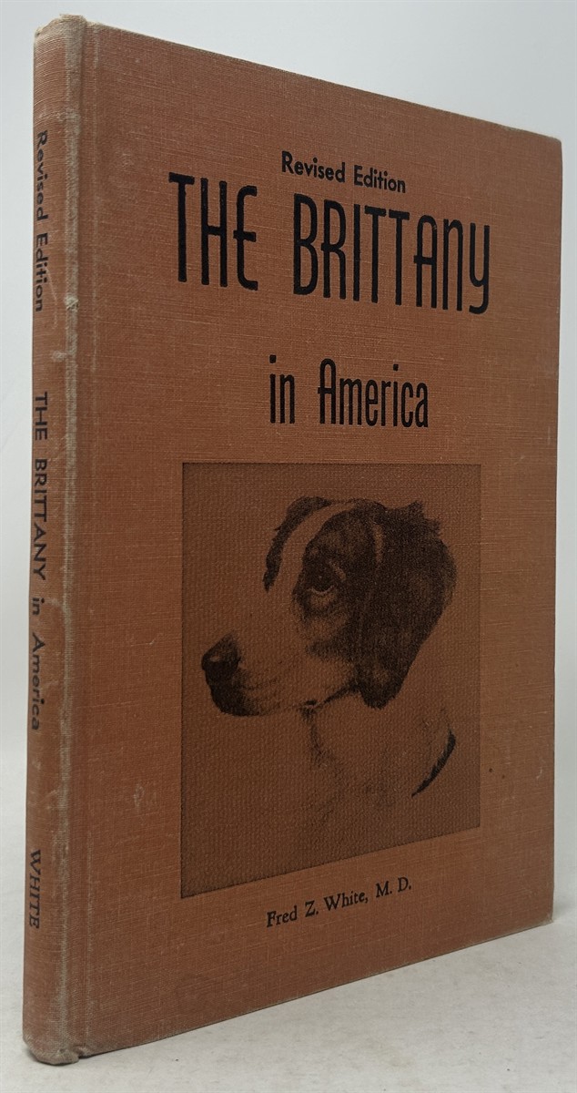 The Brittany in America