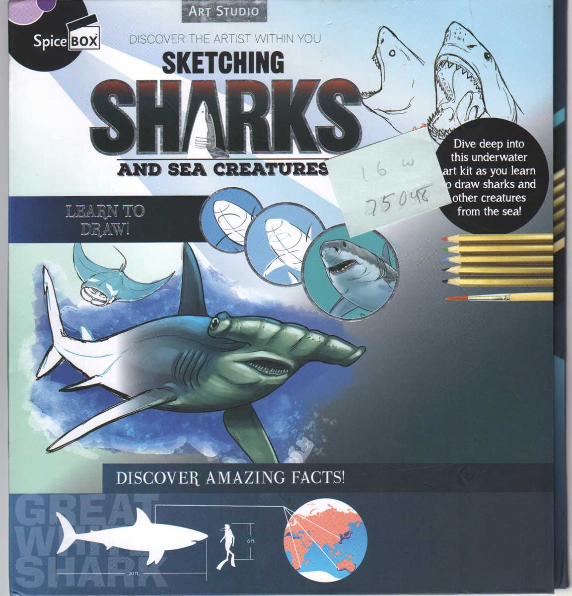 Art Studia - SKETCHING SHARKS & SEA CREATURES