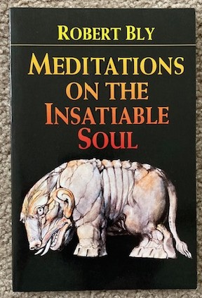 Meditations on the Insatiable Soul [signed]