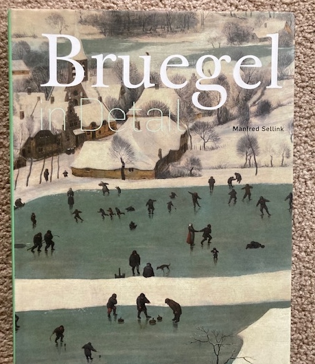 Image for Bruegel in Detail Bruegel in Detail