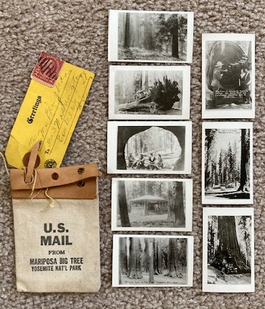 U.S. Mail from Mariposa Big Tree, Yosemite National Park [tourist ephemera] [ca 1920's]