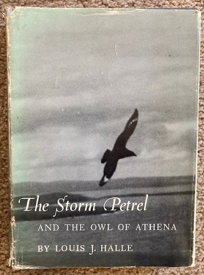 The Storm Petrel and the Owl of Athena