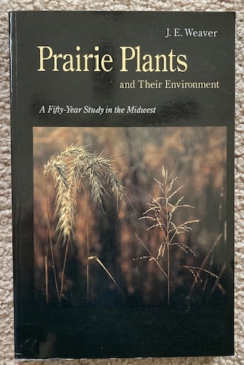Prairie Plants and Their Envirronment