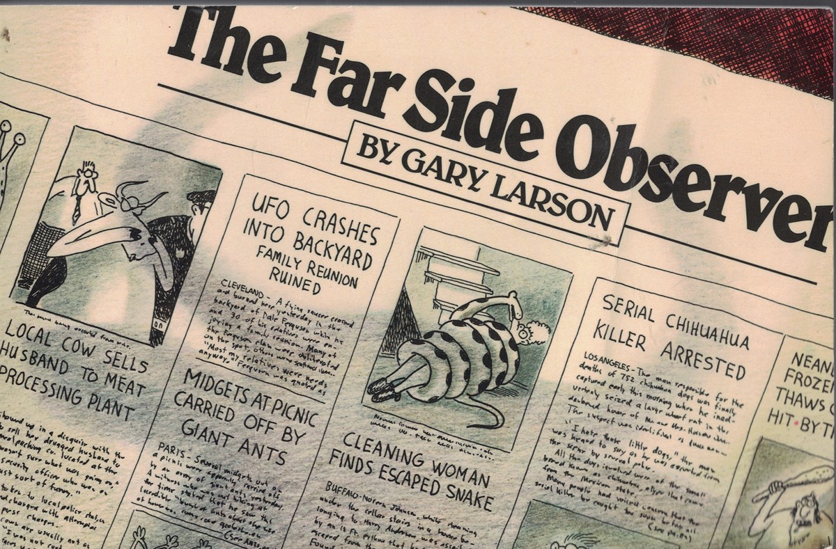 Far Side Observer Book 8