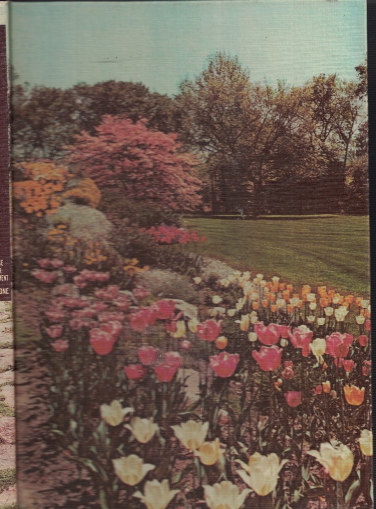 New Illustrated Encycolpedia of Gardening (Unbridged) Japanese Flower Arrangement Classical and Modern