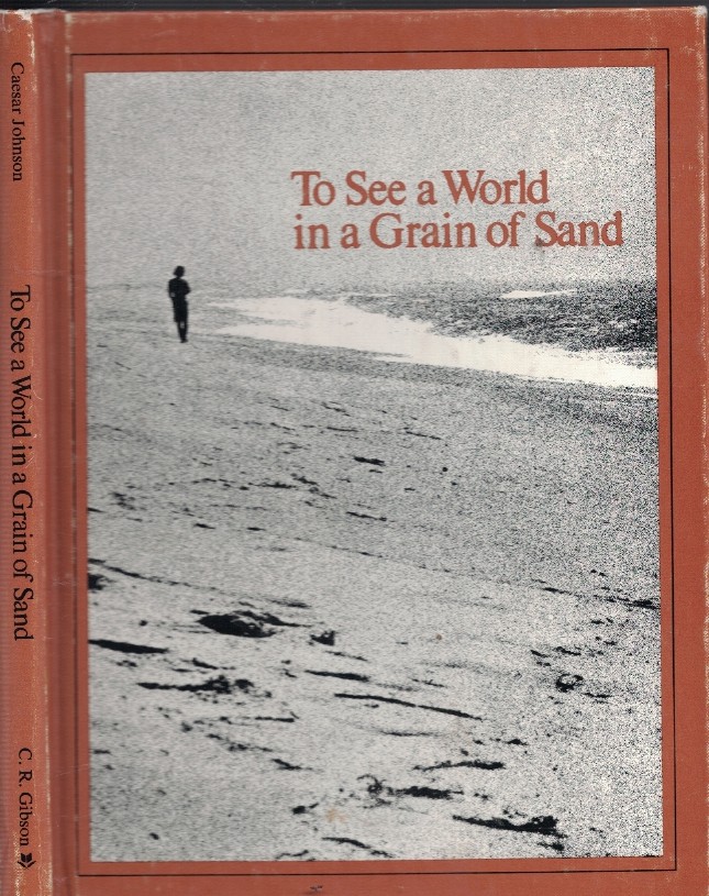 To See a World in a Grain of Sand