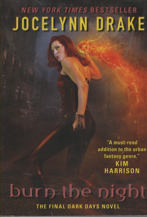 Burn the Night - the Final Dark Days Novel; - Book 6